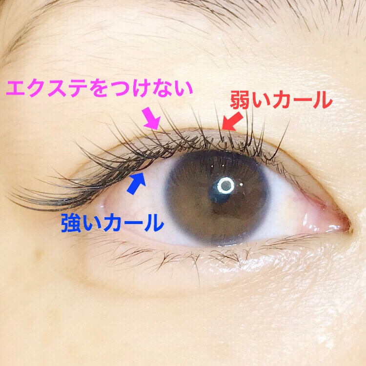 プロアイリスト必見 まつげの 層 によって変える カールの強さの使い分け Beaute ボーテ