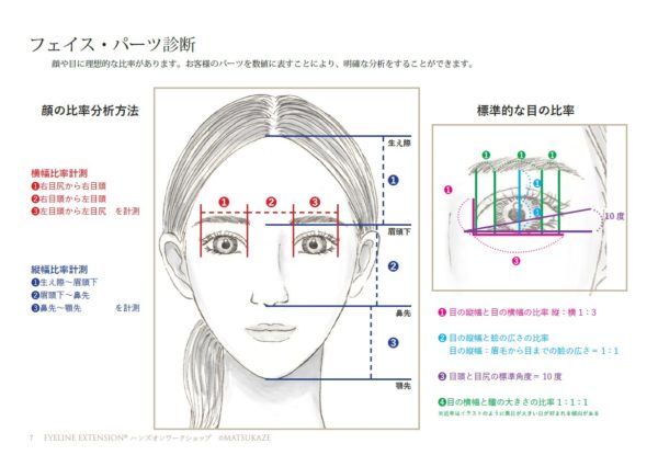 あなたはどの顔タイプ 理想の黄金比を目指すならフェイス パーツ診断が必須 アプリ診断や 診断の専門家 アイラッシュソムリエ在籍サロンもチェック Beaute ボーテ