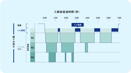 寝てる時 目がキョロキョロ
