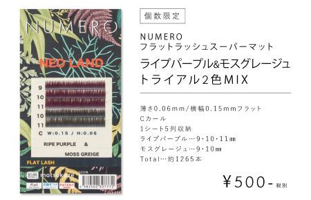 NUMERO12月