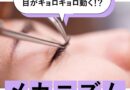 お客様が寝てる時に目がキョロキョロ動くのはなぜ？睡眠中に目が動くメカニズムを解説
