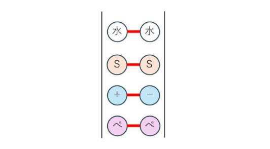 たんぱく質の結合