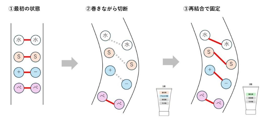 パーマ カール形成フロー
