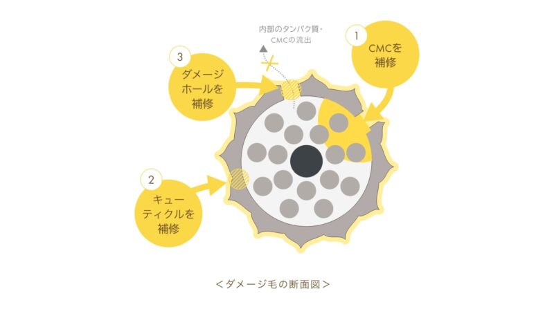 ハピコーティング