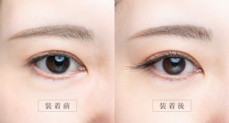 【Miss eye d’or®】話題の人気ラッシュから待望のMカール・Iカールが販売開始!2026年春注目の新作を徹底解説