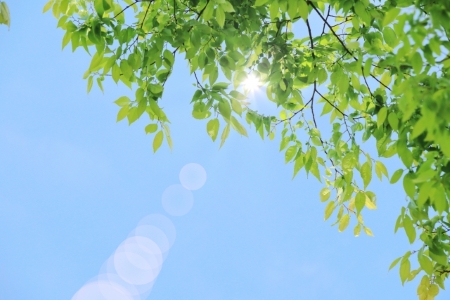 季節の変わり目はまつげを労わる習慣を。春～夏に提案したいケアや最新まつげ美容液を紹介
