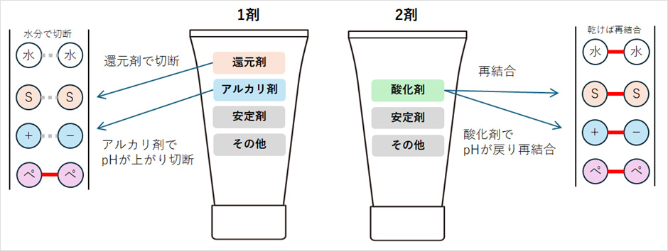 切断と結合