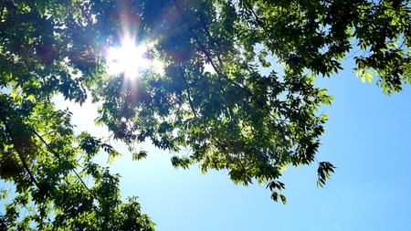 夏のダメージを最小限に抑える対策とは?中間処理剤から見直すまつげケア